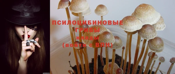мдпв Баксан