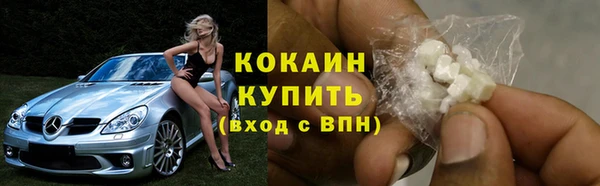 первитин Бикин