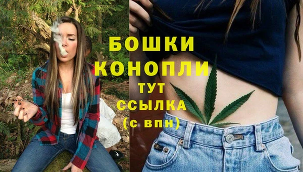 прущие грибы Вязьма