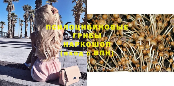 хмурый Белокуриха