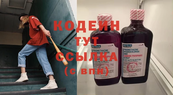 хмурый Белокуриха