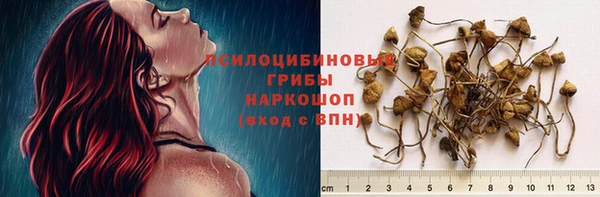 амфетамин Богданович