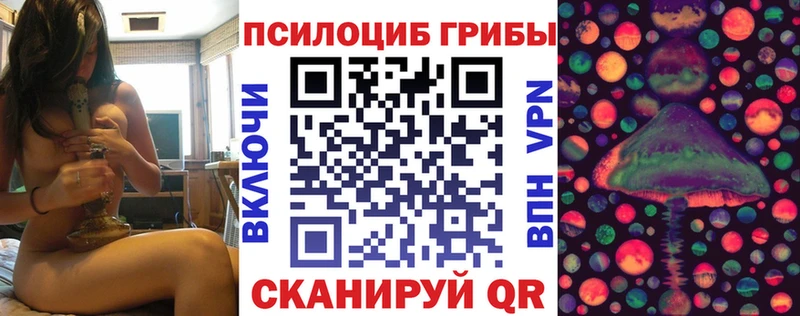 это телеграм  Городец  Псилоцибиновые грибы GOLDEN TEACHER 