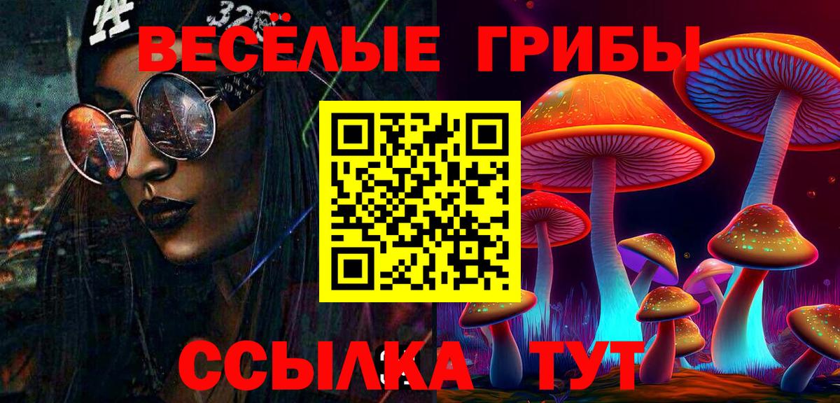 Галлюциногенные грибы мицелий Городец