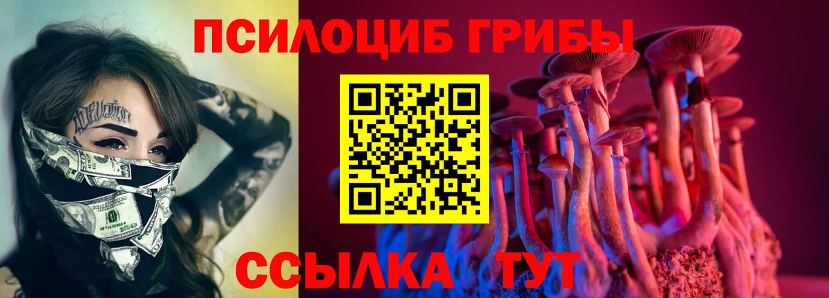 закладка  Вход с VPN  Городец  Псилоцибиновые грибы Psilocybe  Галлюциногенные грибы Cubensis 