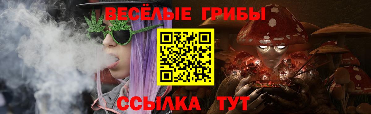 Галлюциногенные грибы GOLDEN TEACHER  Городец 