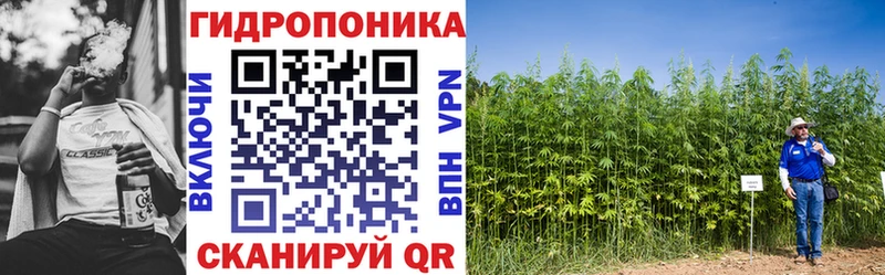 Бошки Шишки THC 21%  Городец 